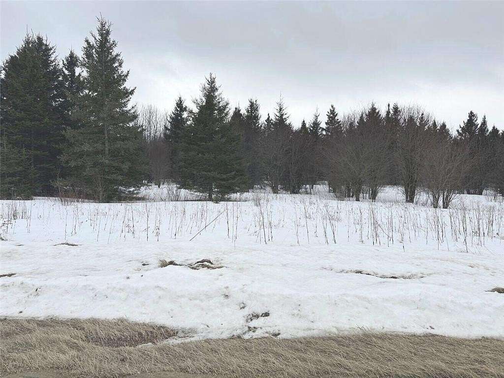 80 Acres of Recreational & Residential Land for Sale in Northome, Minnesota