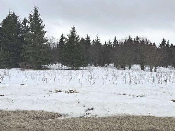 80 Acres of Recreational & Residential Land for Sale in Northome, Minnesota