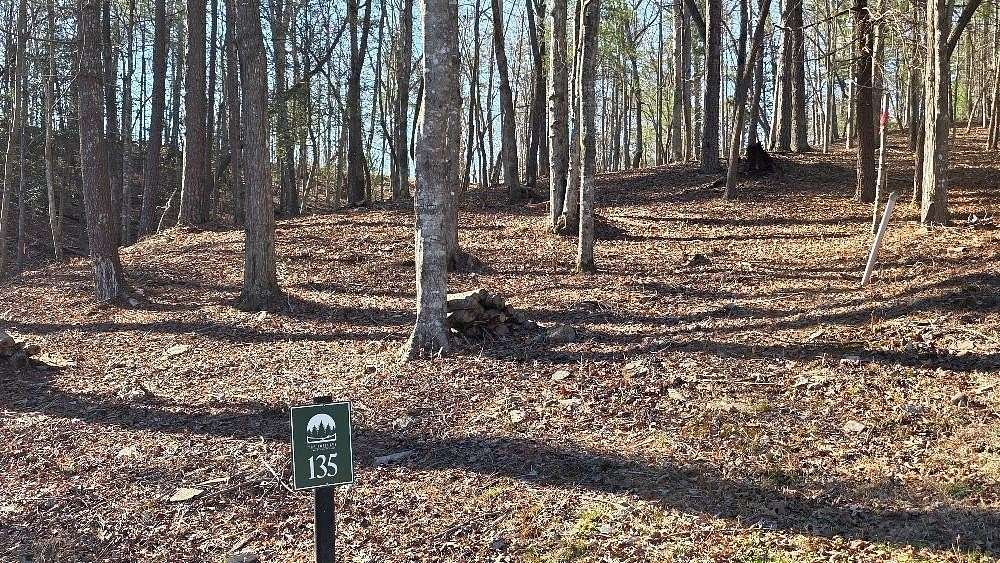 0.75 Acres of Residential Land for Sale in Ellijay, Georgia