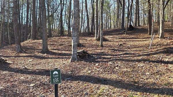 0.75 Acres of Residential Land for Sale in Ellijay, Georgia