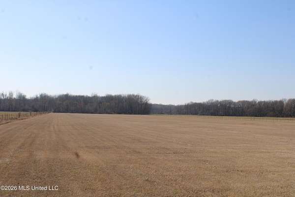 17 Acres of Land for Sale in Olive Branch, Mississippi