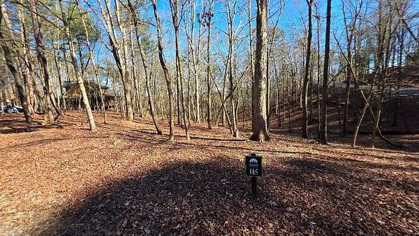 0.9 Acres of Residential Land for Sale in Ellijay, Georgia