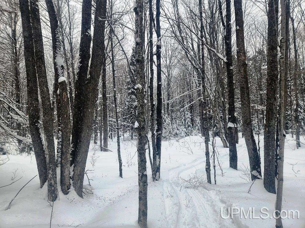 38 Acres of Recreational Land for Sale in Crystal Falls, Michigan