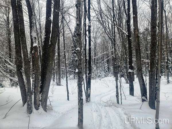 38 Acres of Recreational Land for Sale in Crystal Falls, Michigan