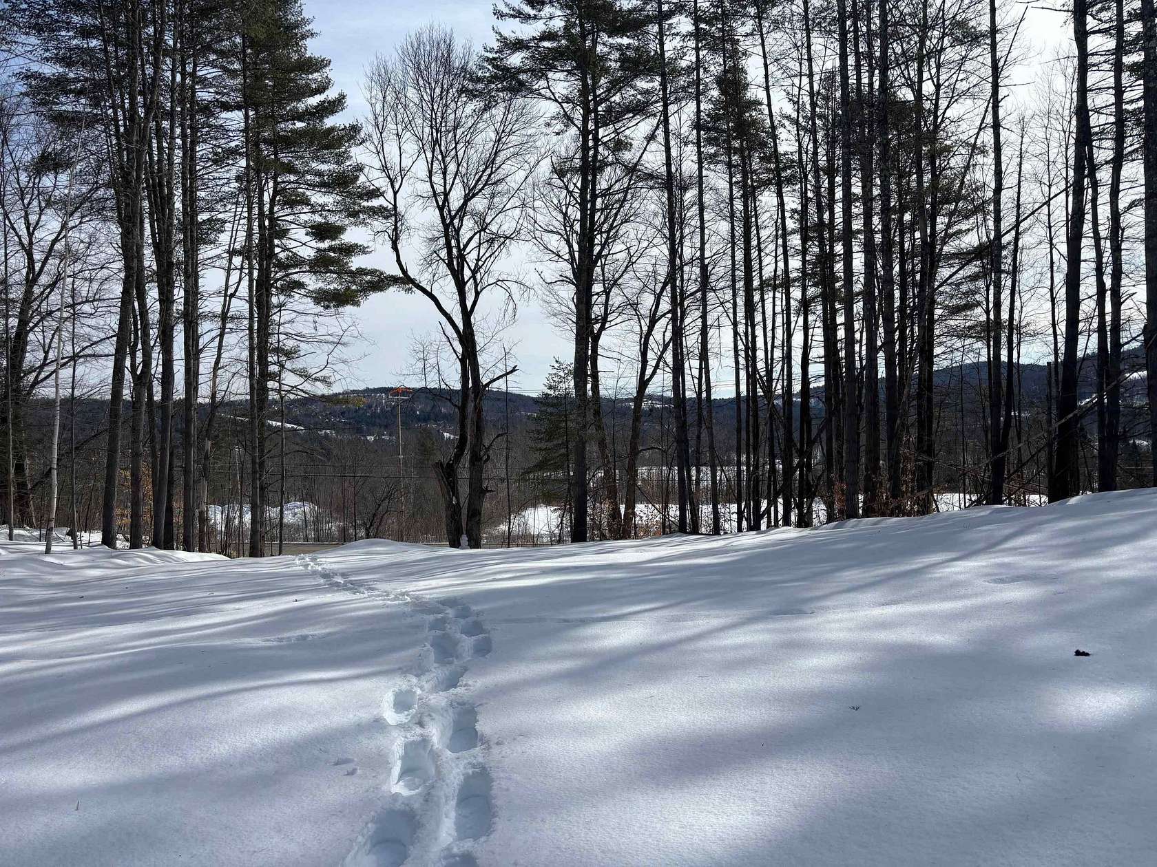 57 Acres of Recreational & Residential Land for Sale in Waterford Town, Vermont