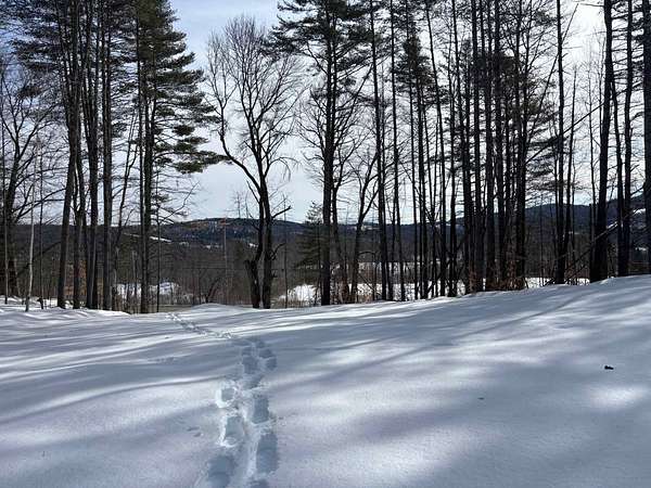 57 Acres of Recreational & Residential Land for Sale in Waterford Town, Vermont