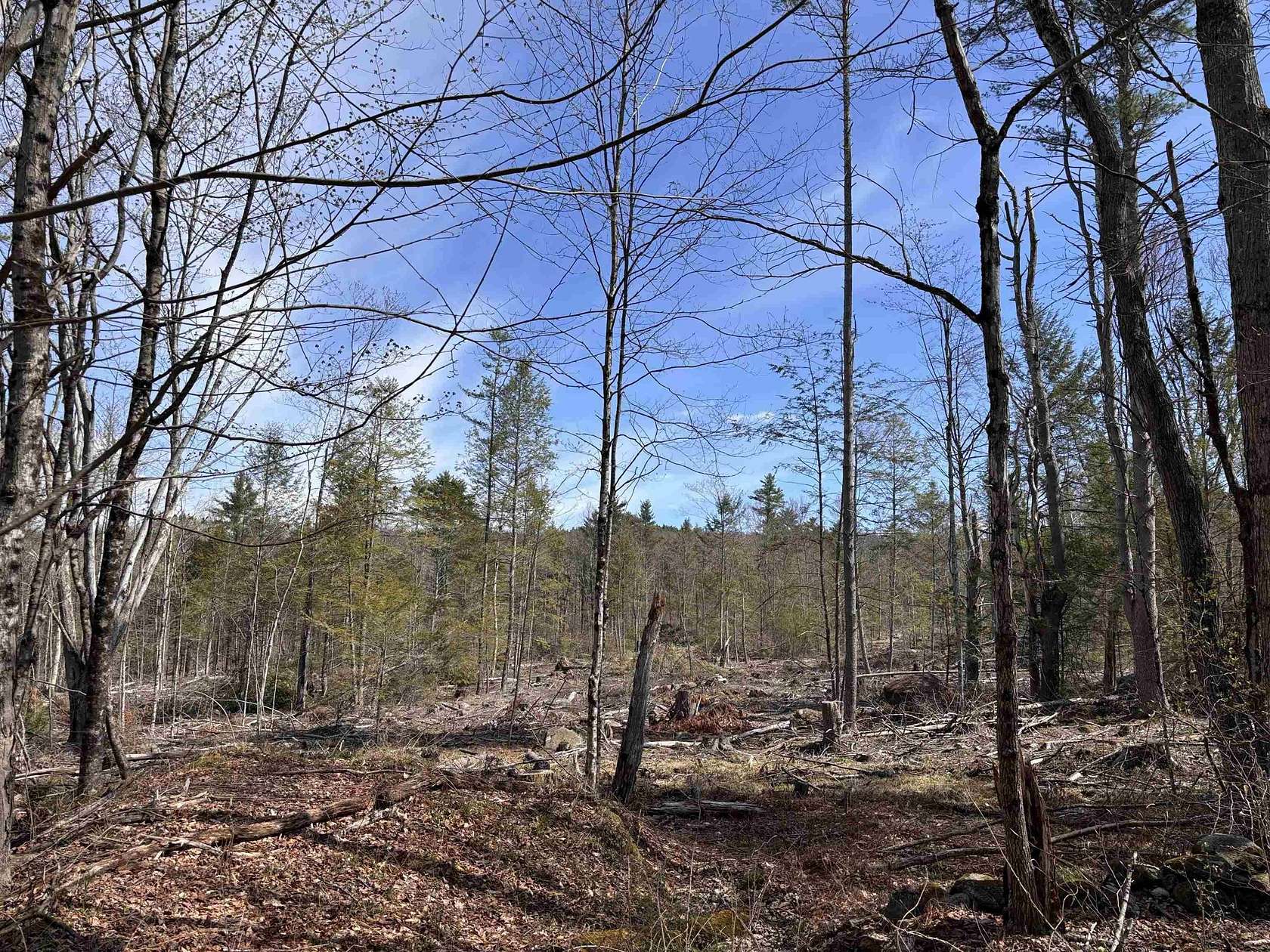 30.7 Acres of Land for Sale in Richmond, New Hampshire