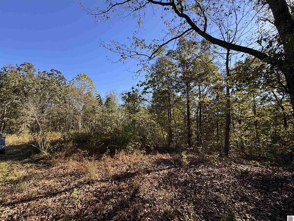 29.2 Acres of Recreational & Residential Land for Sale in New Concord, Kentucky