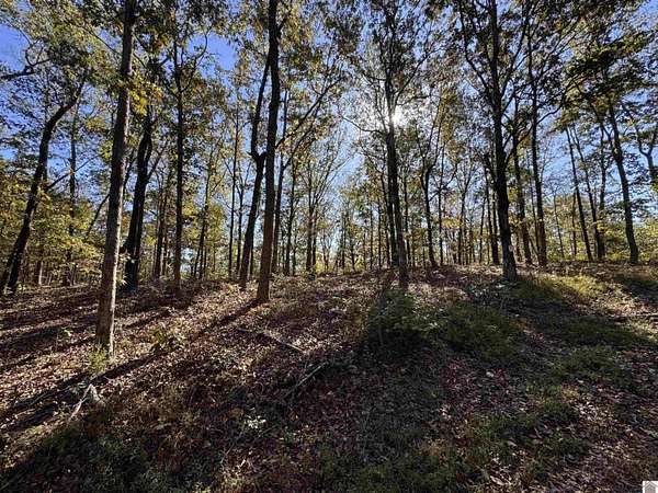 29.2 Acres of Recreational & Residential Land for Sale in New Concord, Kentucky