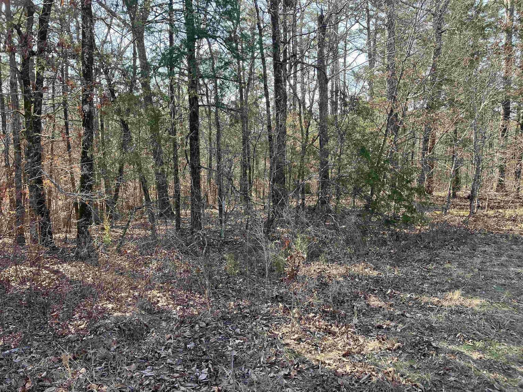 4.1 Acres of Residential Land for Sale in Mount Ida, Arkansas