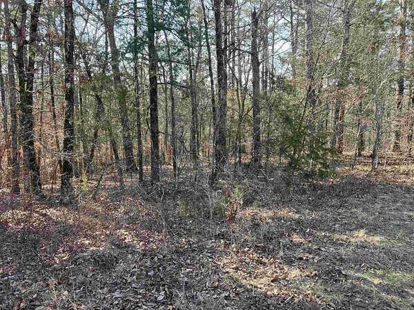 4.1 Acres of Residential Land for Sale in Mount Ida, Arkansas