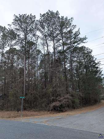 0.38 Acres of Residential Land for Sale in Macon, Georgia