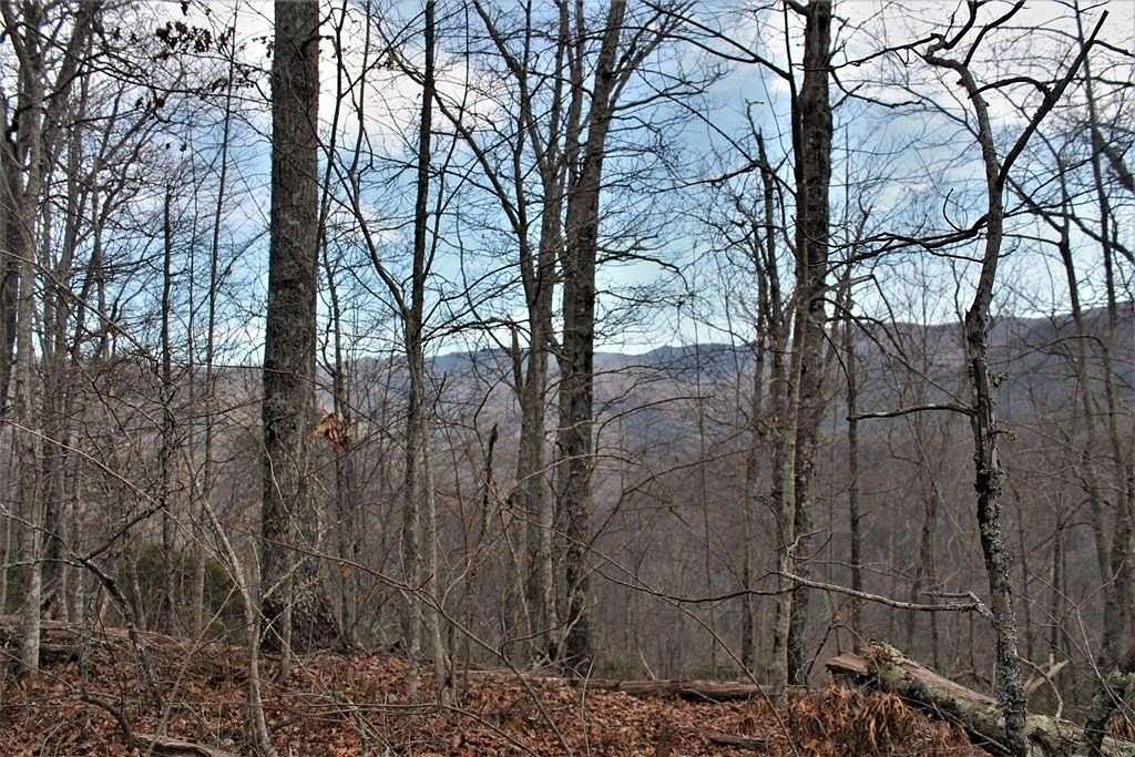 5 Acres of Land for Sale in Bryson City, North Carolina