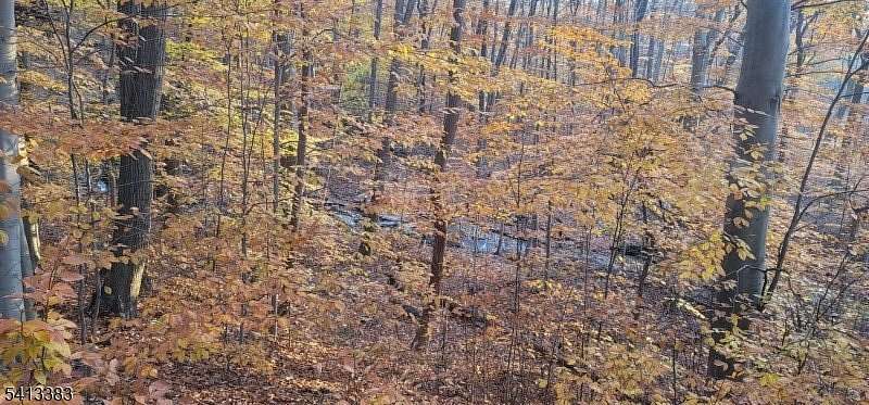 9.63 Acres of Land with Home for Sale in Blairstown Township, New Jersey