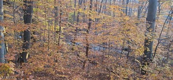 9.63 Acres of Land with Home for Sale in Blairstown Township, New Jersey