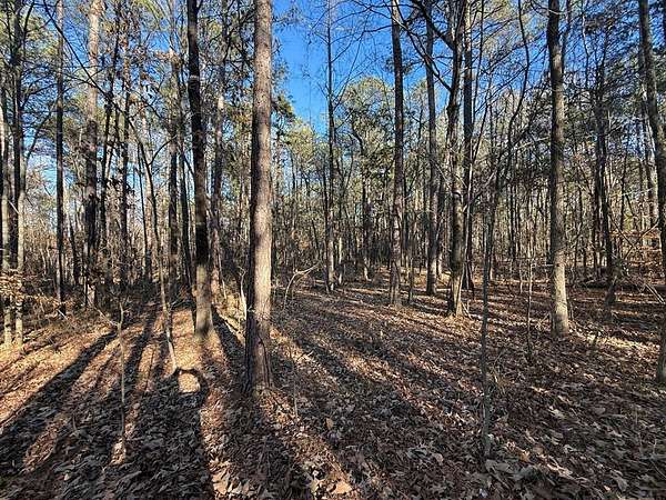 30.1 Acres of Land for Sale in Greenwood, South Carolina