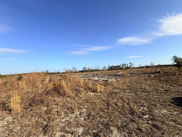 13.7 Acres of Land for Sale in Salley, South Carolina