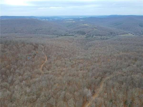 22 Acres of Recreational & Residential Land for Sale in Berryville, Arkansas
