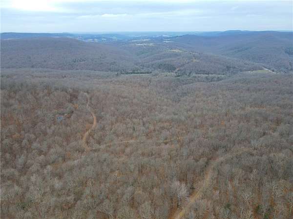 22 Acres of Recreational & Residential Land for Sale in Berryville, Arkansas