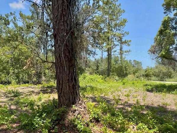 1.25 Acres of Residential Land for Sale in New Smyrna Beach, Florida