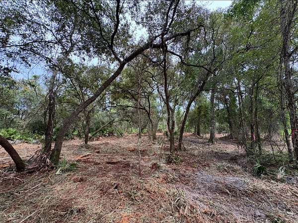 1 Acre of Residential Land for Sale in De Leon Springs, Florida