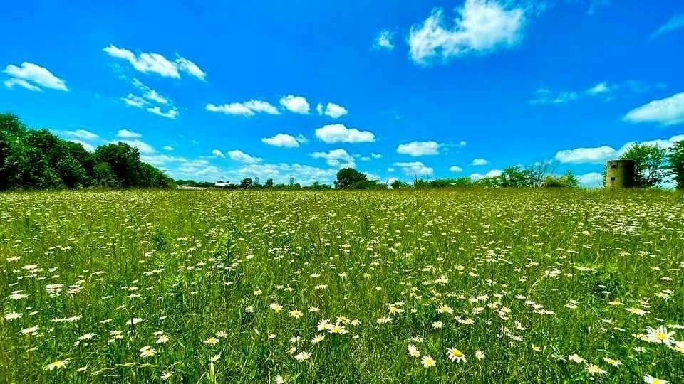 4 Acres of Residential Land for Sale in Kirksville, Missouri