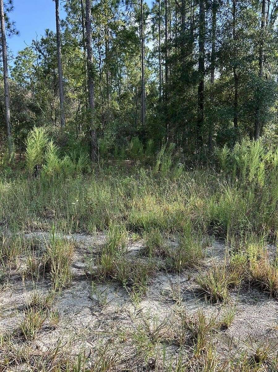0.09 Acres of Residential Land for Sale in Hawthorne, Florida