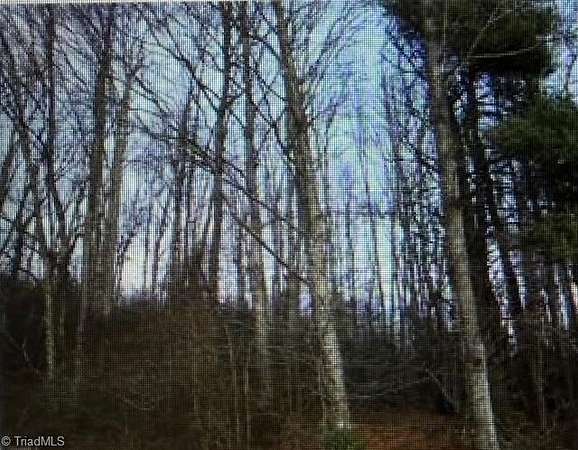 19.2 Acres of Land for Sale in Lowgap, North Carolina