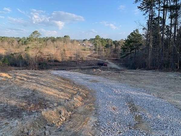 22.4 Acres of Land for Sale in Bismarck, Arkansas