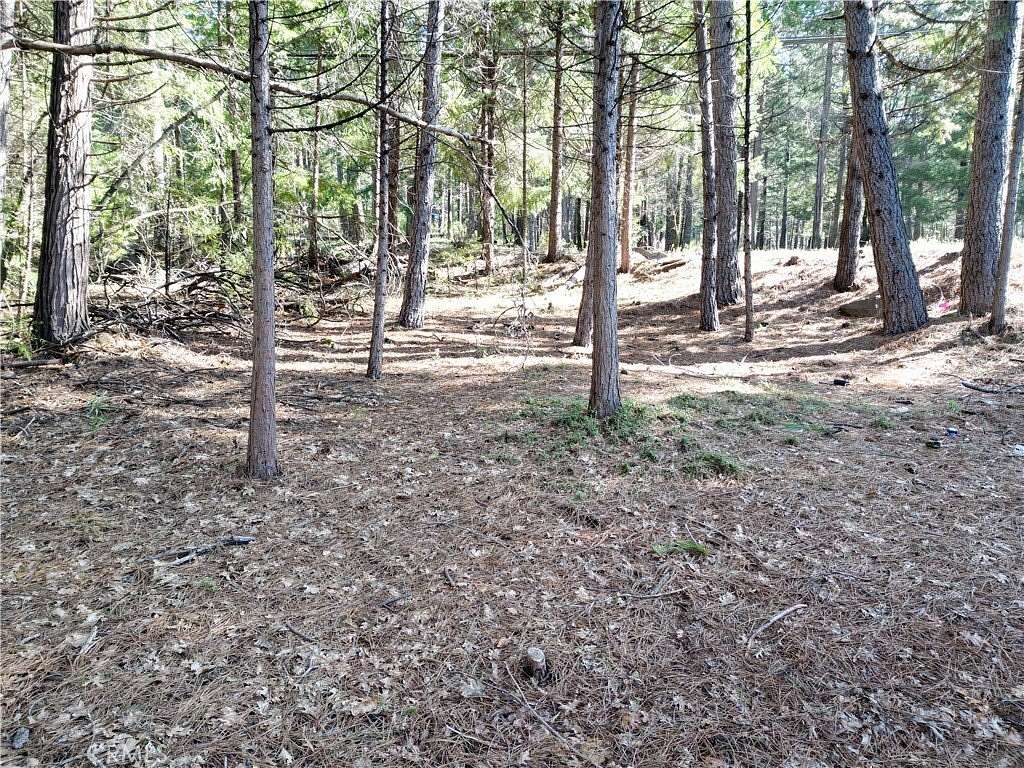 0.23 Acres of Residential Land for Sale in Magalia, California