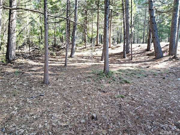 0.23 Acres of Residential Land for Sale in Magalia, California