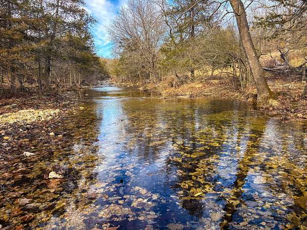 160 Acres of Land for Sale in Theodosia, Missouri