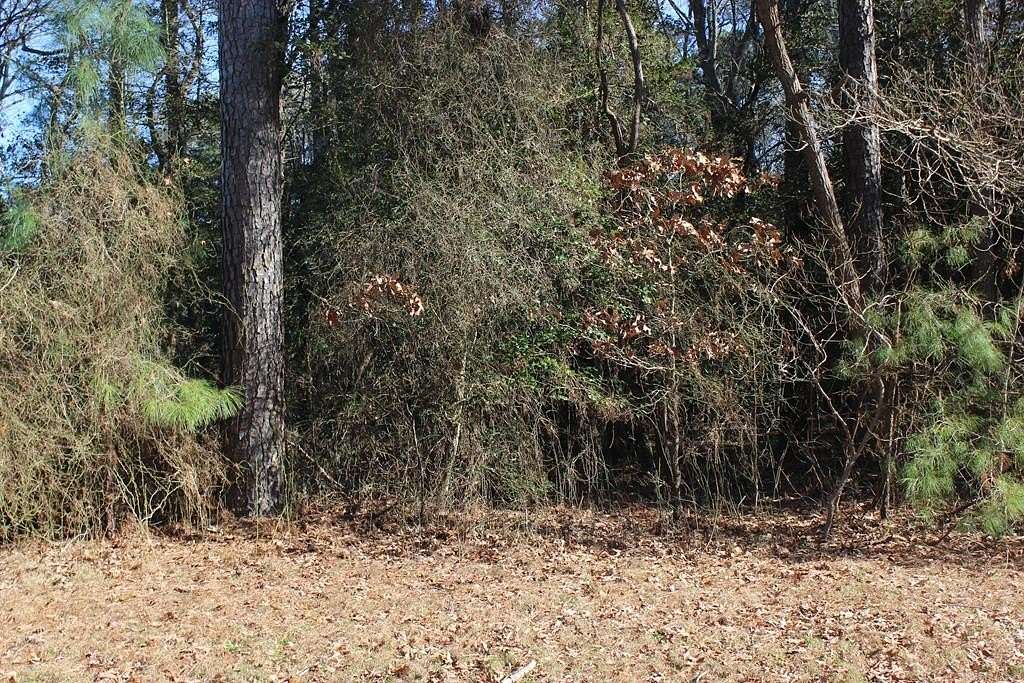 0.75 Acres of Residential Land for Sale in Atlantic, Virginia