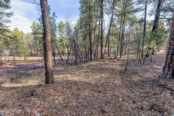 0.3 Acres of Residential Land for Sale in Pinetop, Arizona