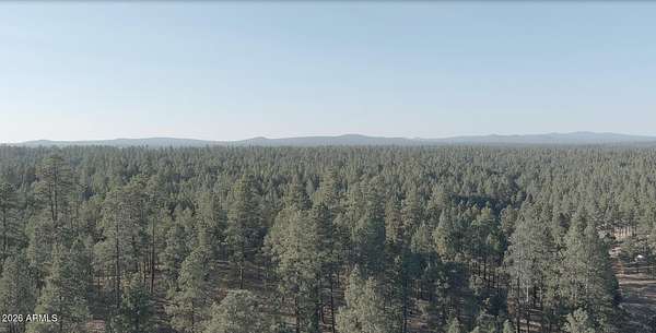 30 Acres of Recreational Land for Sale in Happy Jack, Arizona
