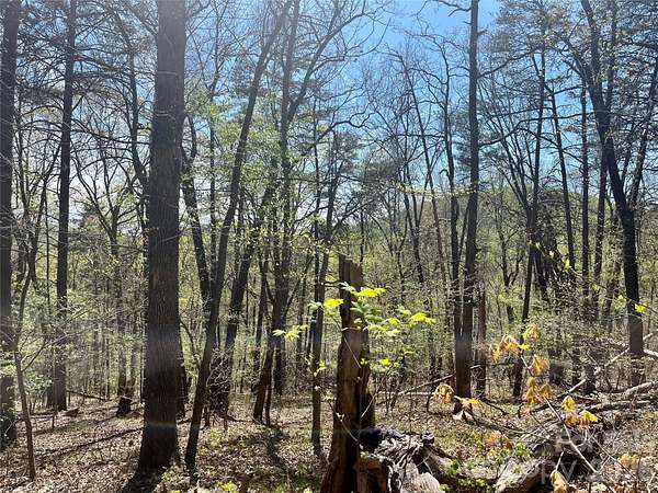 11 Acres of Land for Sale in Hiddenite, North Carolina