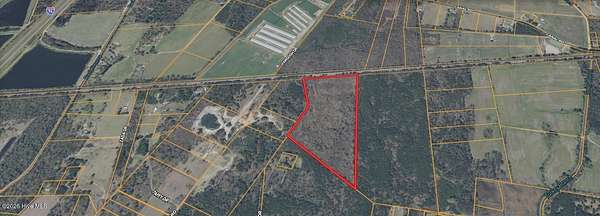 27.3 Acres of Recreational Land for Sale in Rowland, North Carolina