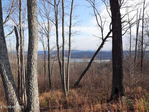 2 Acres of Residential Land for Sale in Bean Station, Tennessee