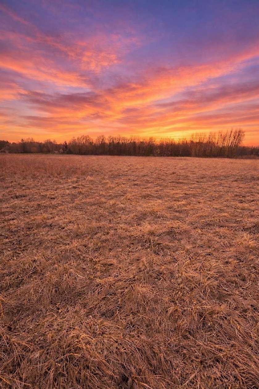 5 Acres of Residential Land for Sale in Midland, Michigan