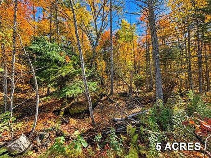 5 Acres of Land for Sale in Burke Town, Vermont