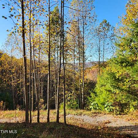 2 Acres of Residential Land for Sale in Unicoi, Tennessee