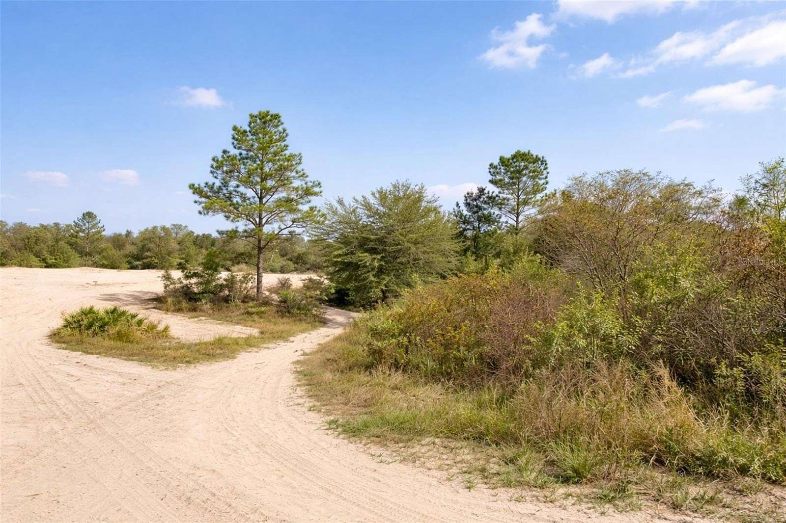 0.68 Acres of Land for Sale in Webster, Florida