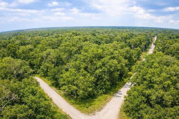 1.1 Acres of Residential Land for Sale in Webster, Florida