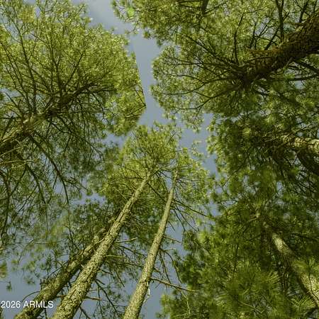 43 Acres of Recreational Land for Sale in Happy Jack, Arizona