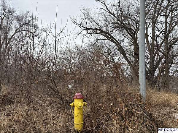 0.2 Acres of Residential Land for Sale in Omaha, Nebraska