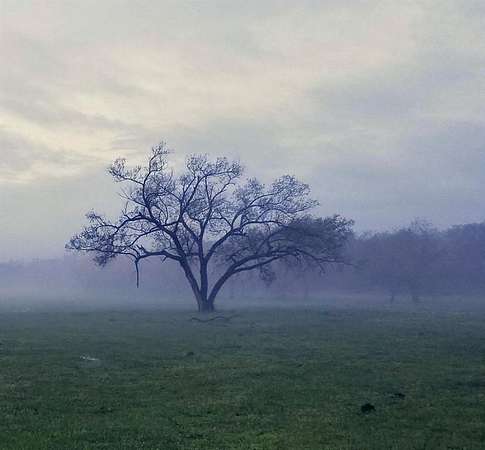 53 Acres of Land for Sale in Harrah, Oklahoma