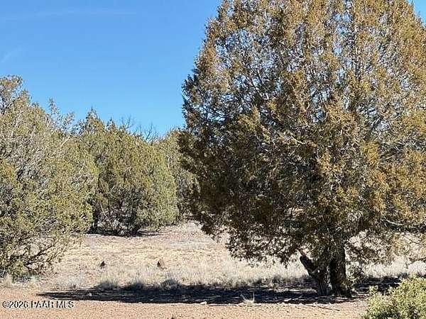 2.17 Acres of Land for Sale in Williams, Arizona