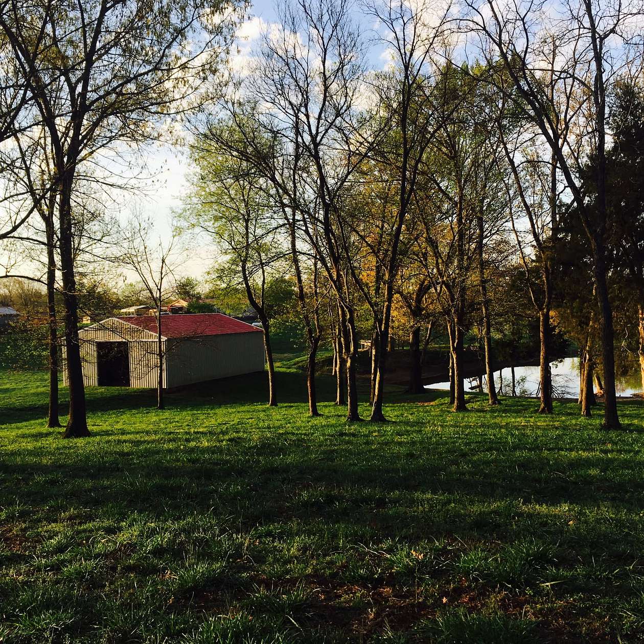 32 Acres of Agricultural Land for Auction in Springfield, Tennessee