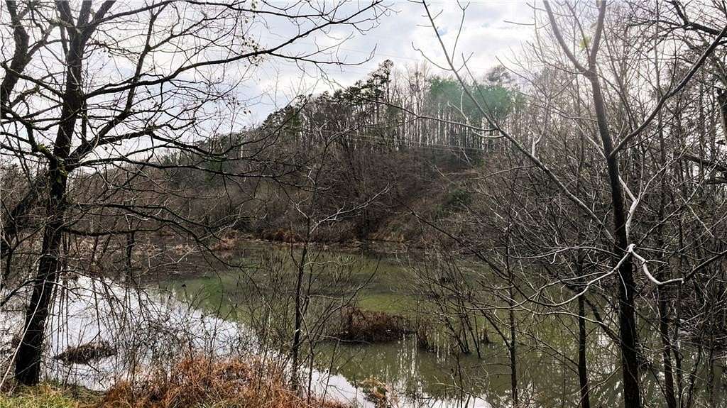 39 Acres of Land for Sale in Tunnel Hill, Georgia