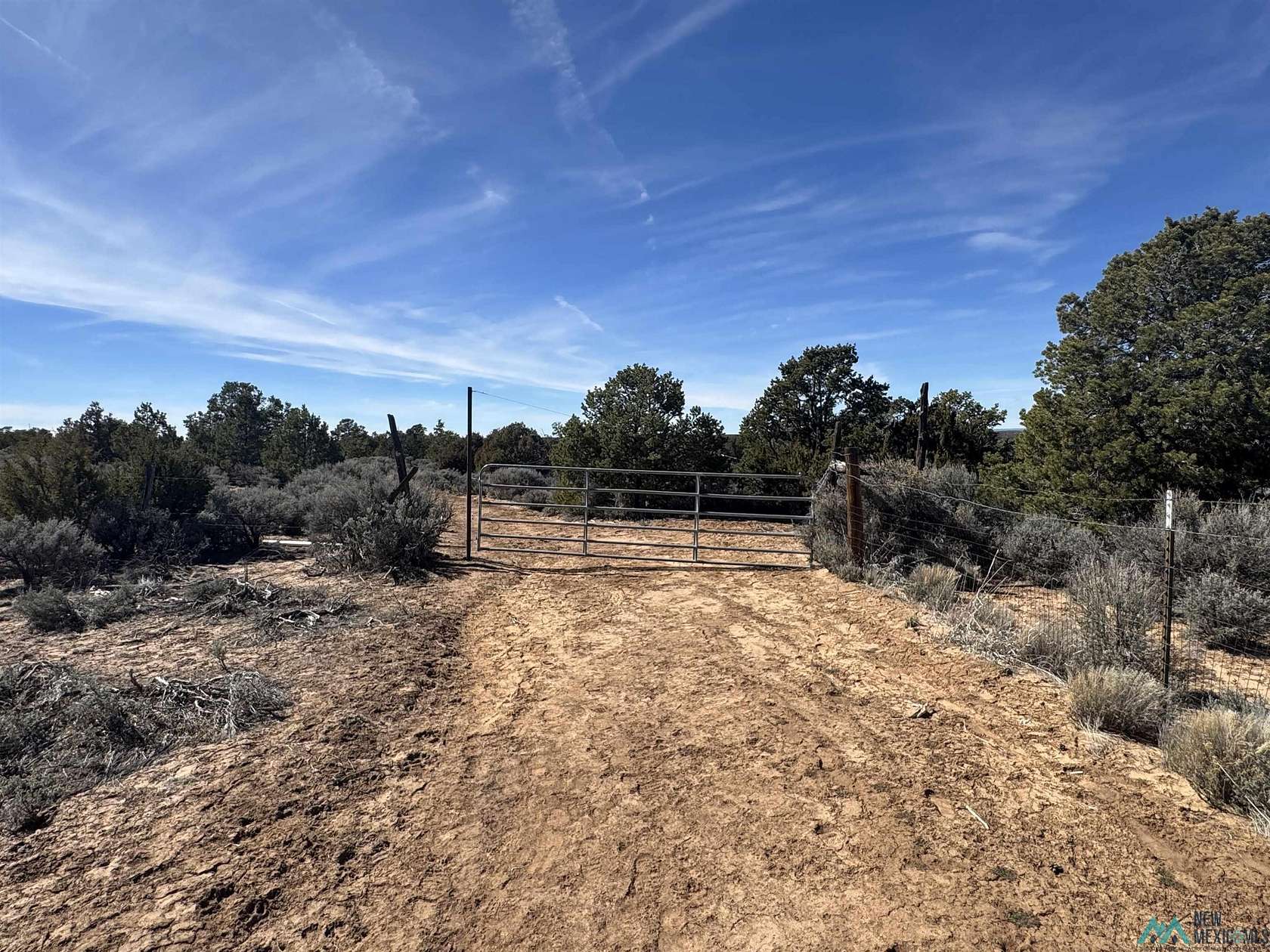 40 Acres of Recreational Land for Sale in Vanderwagen, New Mexico